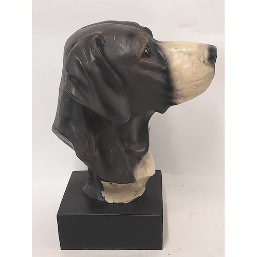 306 - Resin Bust of a Dogs Head on plinth, 31cm high