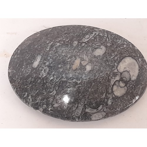 314 - Carved and Polished Fossil filled stone Pin Dish, 12cm wide