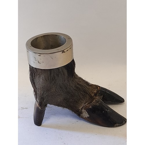 392 - Taxidermy Wild Boar Foot Match Holder, 10cm high