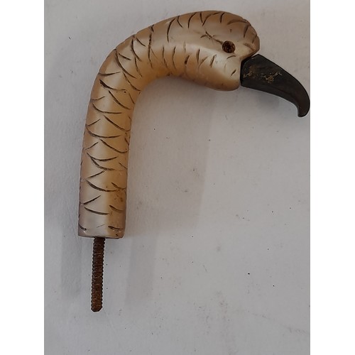 445 - Vintage Handle in the form of a bird with Bronze Beak, 7cm long plus fixing thread