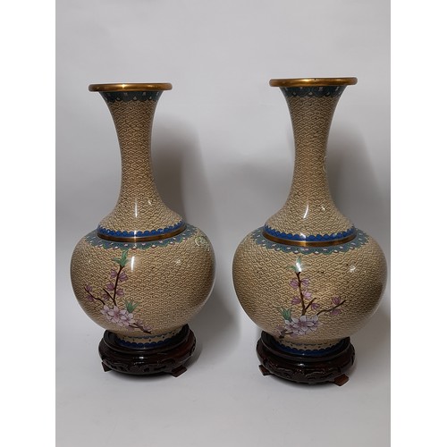 390 - Pair of Cloisonne Vases on wood stands, 31cm high