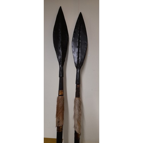 402 - 2 x Decorative Tribal Spears, the longest 123cm long