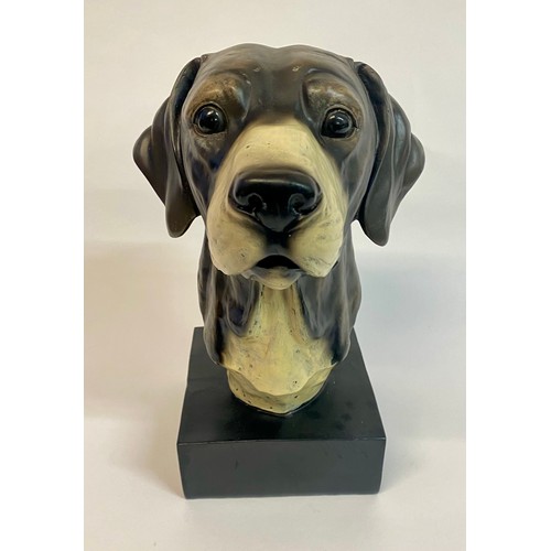 524 - Composite Dog Head Bust Raised on Base 31cm Height