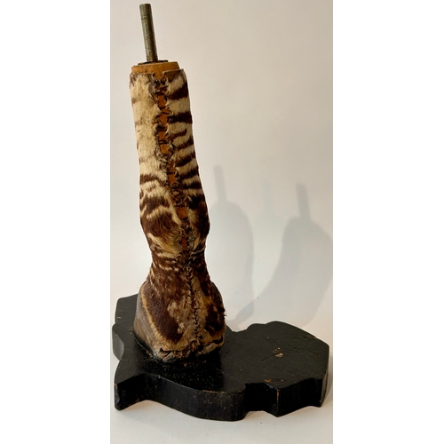 443 - Taxidermy Foot of a zebra on wooden stand In The Form Of A Lamp. 35cm x 25cm x 19cm.