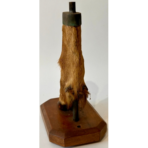 444 - Taxidermy Deer foot on wooden Stand In The Form Of A  Lamp. 21cm x 10xm x 14cm.