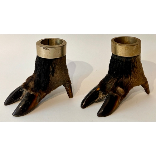 445 - Pair of Taxidermy Desk Top Hogs Feet. 13cm x 11cm x 9cm.  (2)