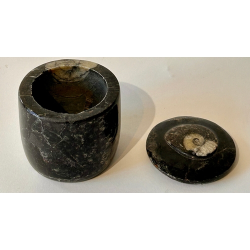 446 - Two Taxidermy Orthoceras Fossils In The Form Of A Lidded Jar A Tray.  (2)