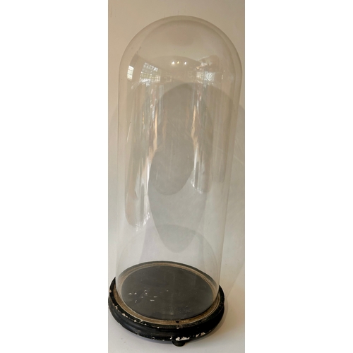 538 - Vintage Taxidermists Glass Dome / Bell Jar. 54cm x 21cm.