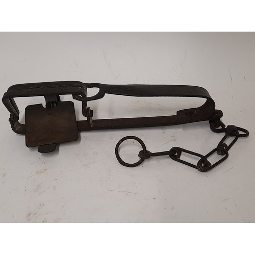 54 - Vintage Gin Trap, 28cm long