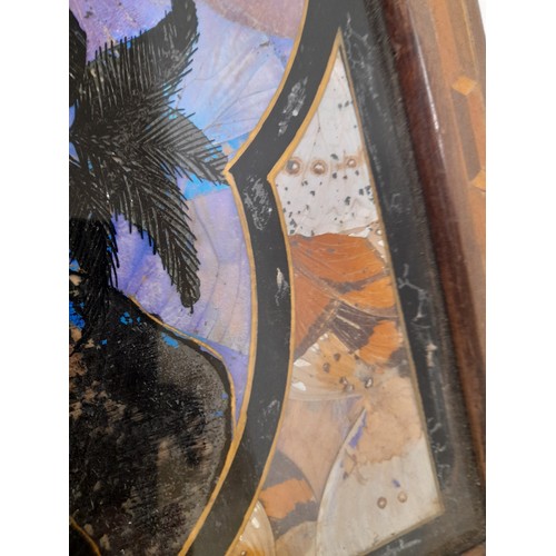 132 - Glass Top Butterfly wing Tray with handle to each end, 54cm x 34cm