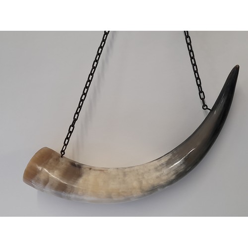 141 - Vintage Drinking Horn on Chain, 38cm wide