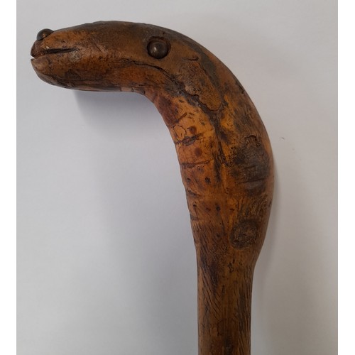 142 - Folk Art walking stick, carved Bamboo, the handle in the form of a Snake Head, 84cm long