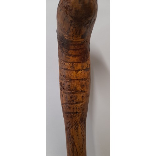 142 - Folk Art walking stick, carved Bamboo, the handle in the form of a Snake Head, 84cm long