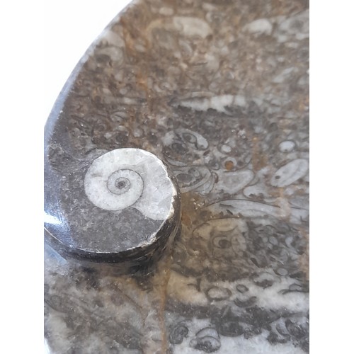 486 - 3 x decorative items formed from Fossil filled rock