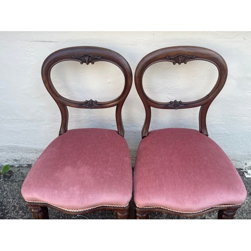 9A - Two Antique Balloon Back Dining Chairs.