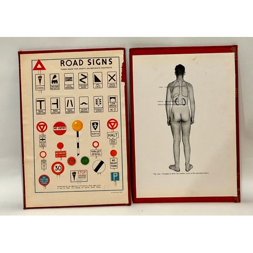 609 - Six Anatomical Posters On Card Backs. 26cm x 18cm.   (6)