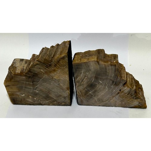 202 - Two Pieces Of Petrified Wood In The Form Of  Book Ends. Largest measuring  12.5 cm high (2)