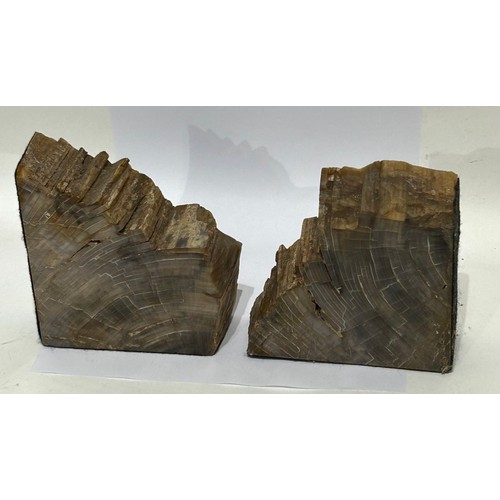 202 - Two Pieces Of Petrified Wood In The Form Of  Book Ends. Largest measuring  12.5 cm high (2)