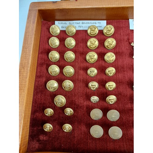 96 - Military Display Case containing A Collection of Military Badges  Buttons and Insignia, 61cm x 30cm ... 