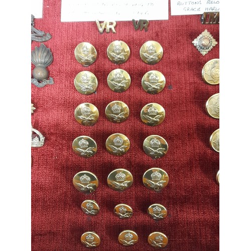 96 - Military Display Case containing A Collection of Military Badges  Buttons and Insignia, 61cm x 30cm ... 