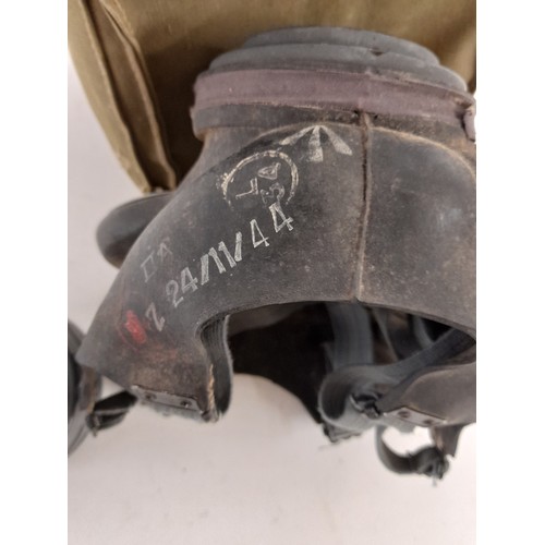 107 - WW2 period gasmask in case