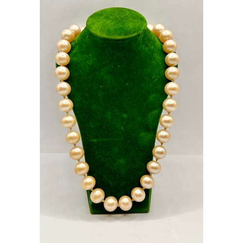 237 - Four Various Sized Pearl  Necklaces. Largest 31cm.