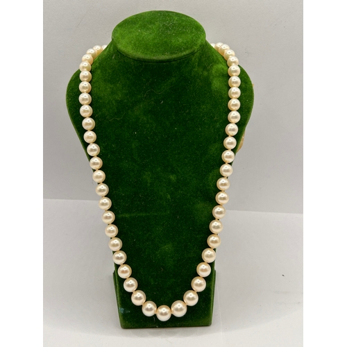 237 - Four Various Sized Pearl  Necklaces. Largest 31cm.