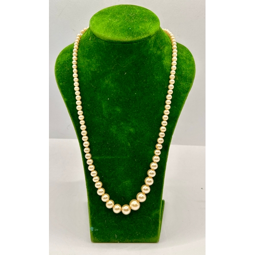 237 - Four Various Sized Pearl  Necklaces. Largest 31cm.