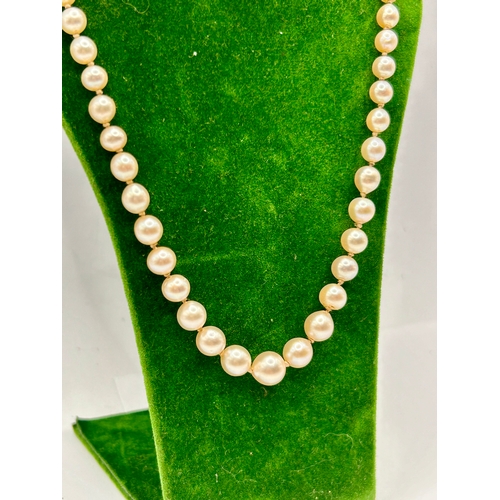 249 - Pearl Necklace With Decorative 9Ct Gold Lock Link. 22.5cm.