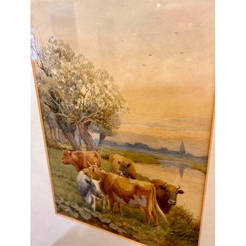 258 - William Sydney Cooper 1854 - 1927 Framed Water Colour Painting Of Cows At Water Signed Bottom Right.... 