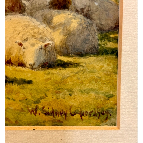 259 - William Sydney Cooper 1854 - 1927 Framed Water Colour Painting Of Country Scene With Sheep Dated 190... 