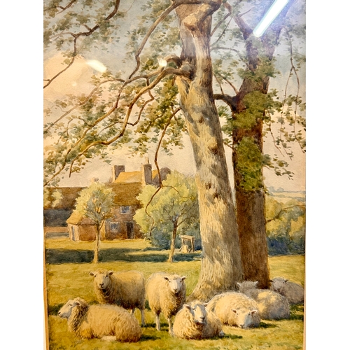 259 - William Sydney Cooper 1854 - 1927 Framed Water Colour Painting Of Country Scene With Sheep Dated 190... 