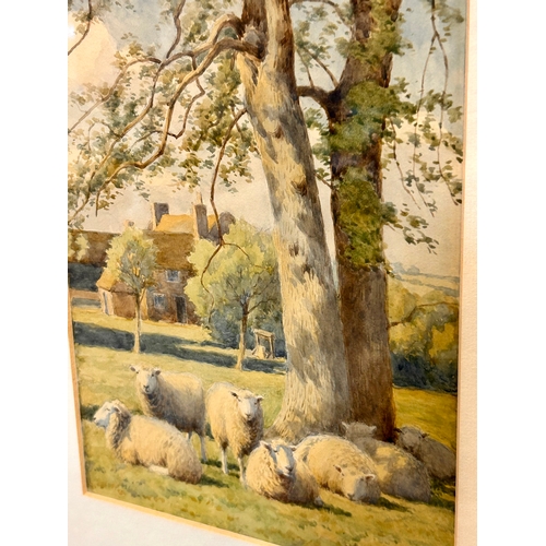 259 - William Sydney Cooper 1854 - 1927 Framed Water Colour Painting Of Country Scene With Sheep Dated 190... 