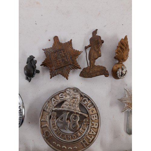 362 - Group Of  Military Insignia (12)