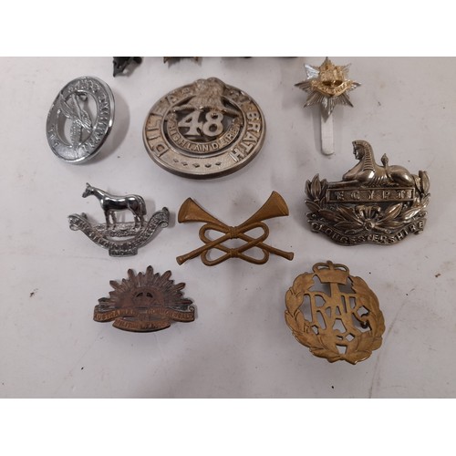 362 - Group Of  Military Insignia (12)