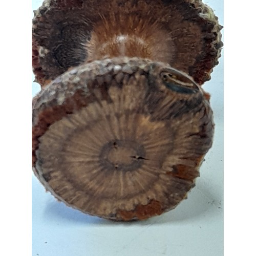 472 - Unusual Wood Turned Mushroom From a Banksia Nut, 10cm high x 7cm diameter