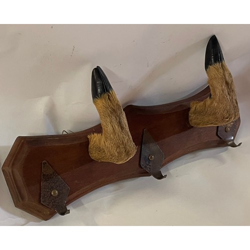 63 - Vintage Taxidermy Deer Hoof Coat Hanger