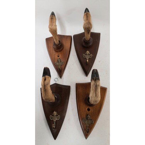 274 - 4 x Deer Foot Coat Hangers, 20cm x 12cm