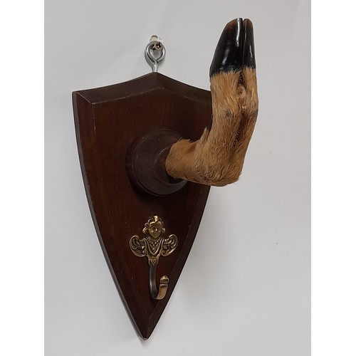 274 - 4 x Deer Foot Coat Hangers, 20cm x 12cm