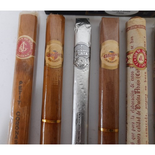 93 - 10x Collectable Cigars