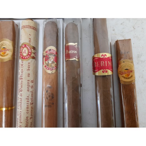 93 - 10x Collectable Cigars