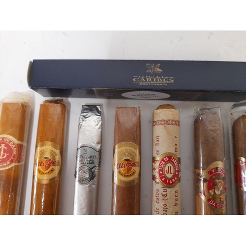 93 - 10x Collectable Cigars