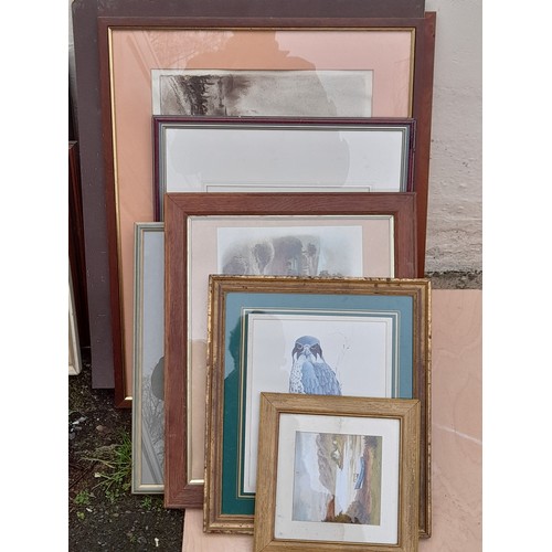 305 - 15x Framed and Glazed Pictures of various sizes and 1 x unframed       (16)