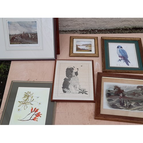 305 - 15x Framed and Glazed Pictures of various sizes and 1 x unframed       (16)