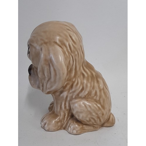 305 - Sylvac Ware Sammy the Spaniel, 11.5cm high