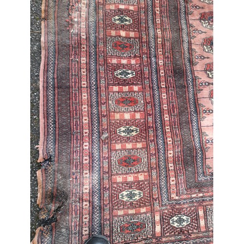 647 - Large Boukara Pal Rug with Damage to one side, 345cm x 249cm