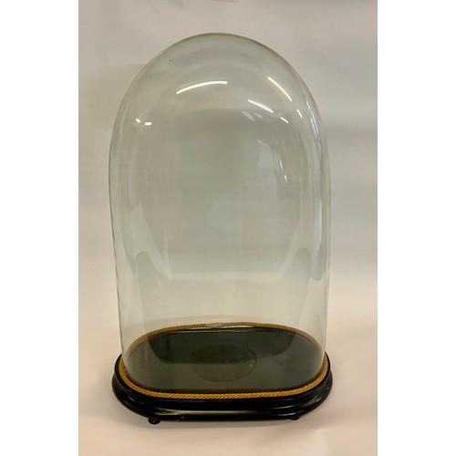 170 - Large Glass Taxidermy Dome. 62cm x 38cm x 20cm.