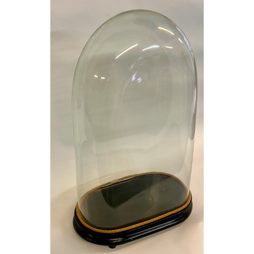 170 - Large Glass Taxidermy Dome. 62cm x 38cm x 20cm.