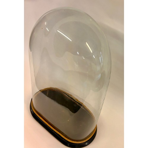 170 - Large Glass Taxidermy Dome. 62cm x 38cm x 20cm.