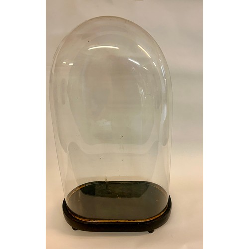 171 - Similar To Last Lot Large Glass Taxidermy Dome. 64cm x 36cm x 19cm.